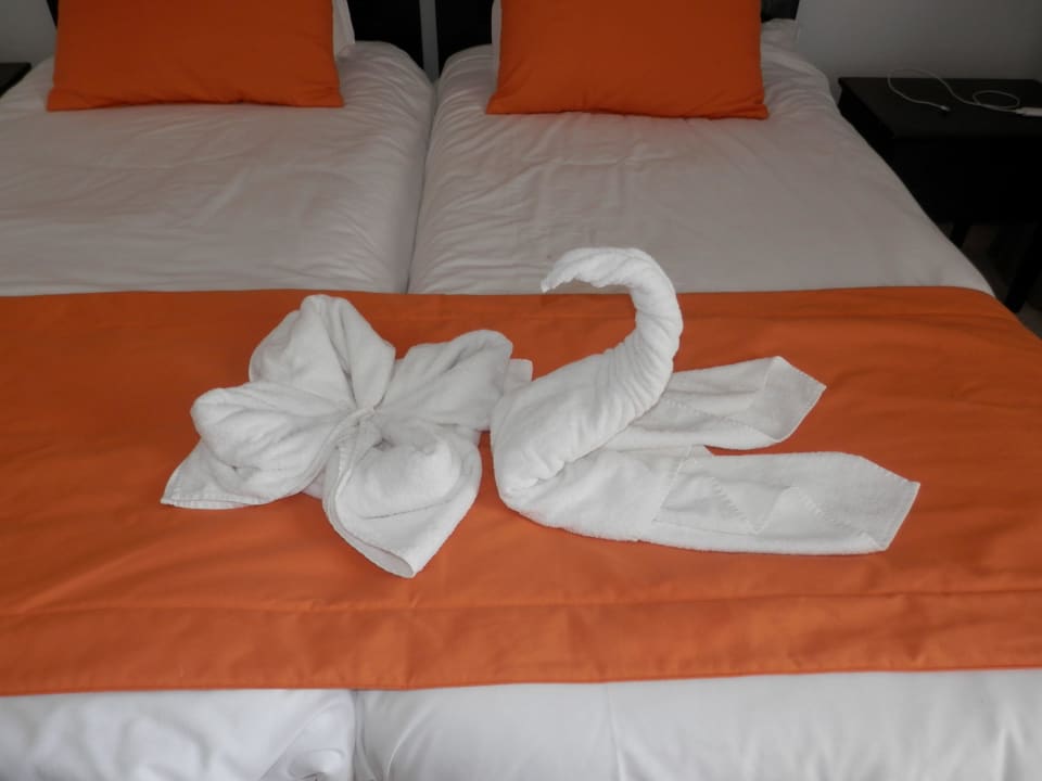 Tropicana club  Hotel Club Tropicana & Spa