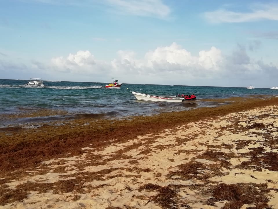 Strand Grand Palladium Punta Cana Resort & Spa