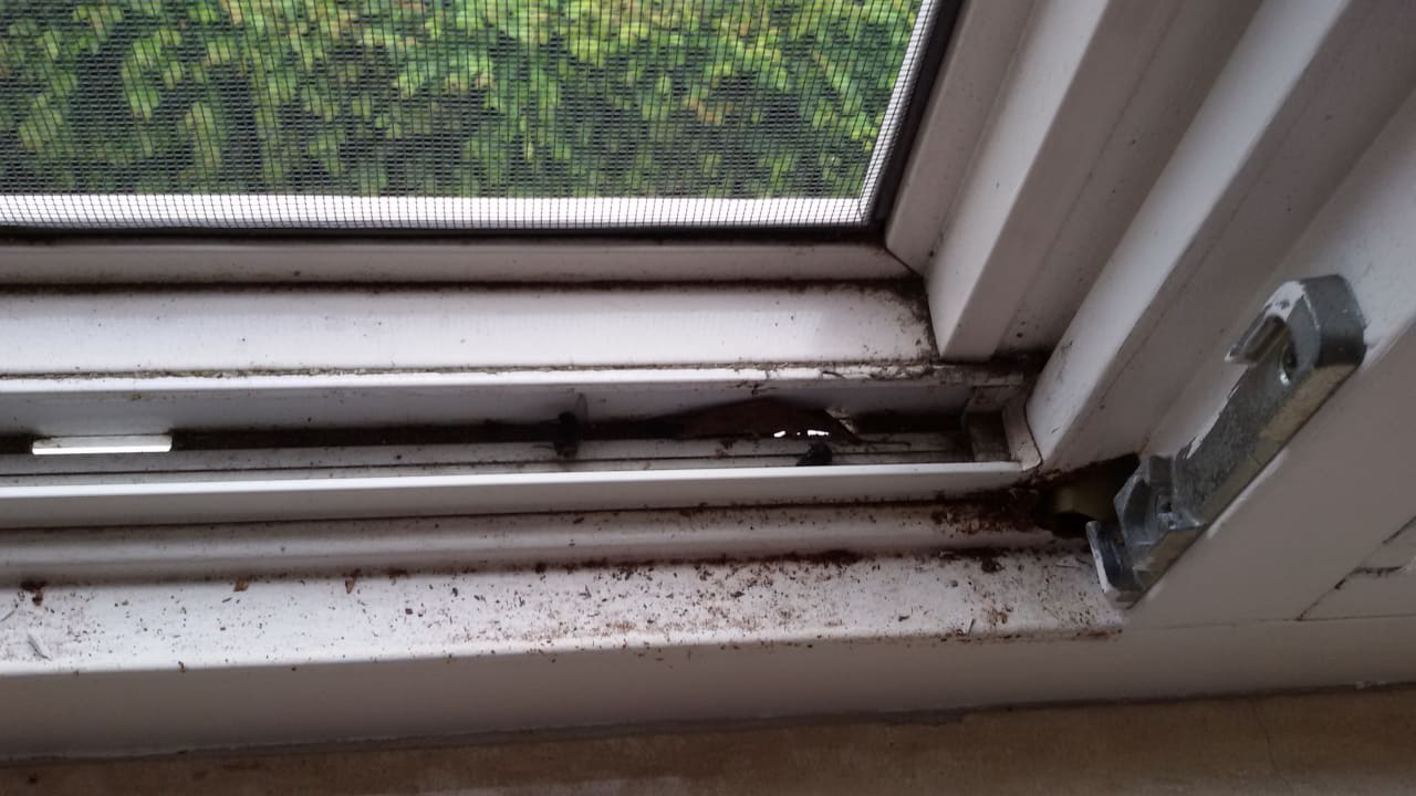 Zimmer Ferienpark Landal Hunerwold State