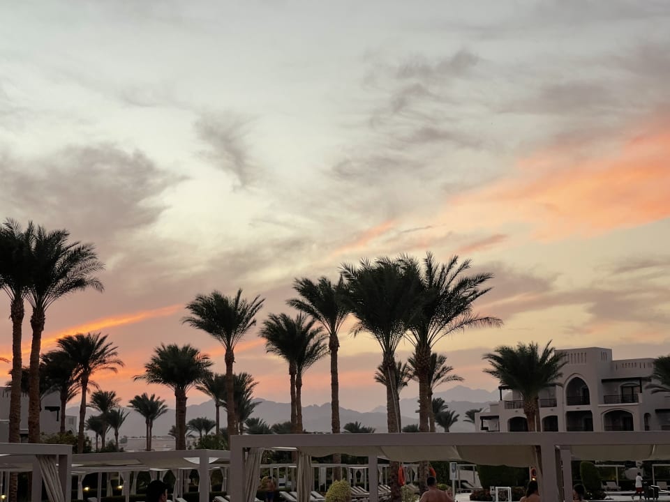 Ausblick Steigenberger Alcazar