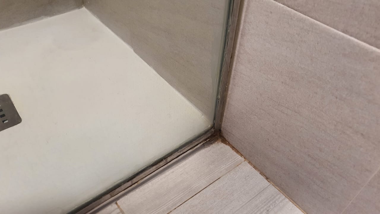 Zimmer Alcudia Garden Aparthotel