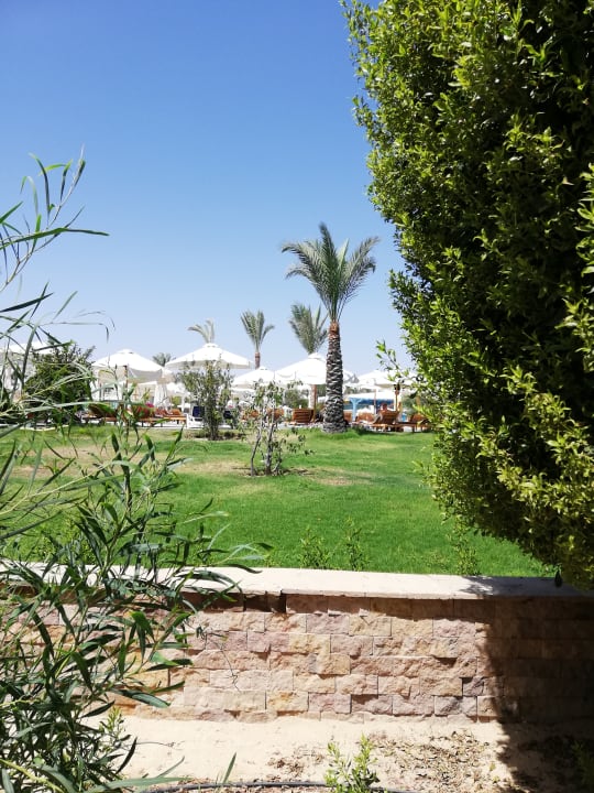 Gartenanlage Hilton Marsa Alam Nubian Resort