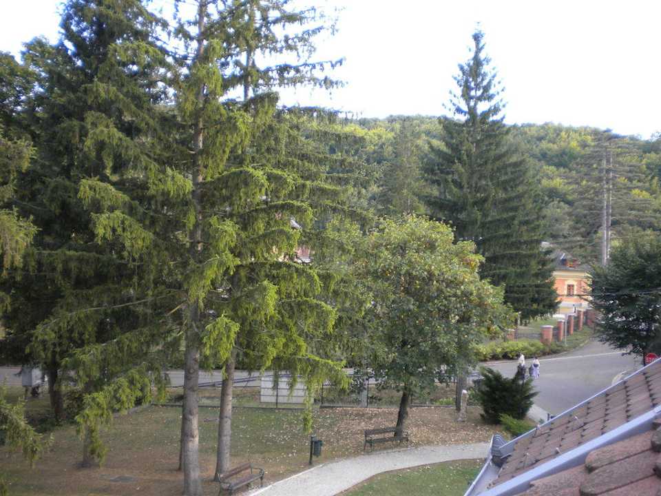 View from the room St. Hubertus Pension