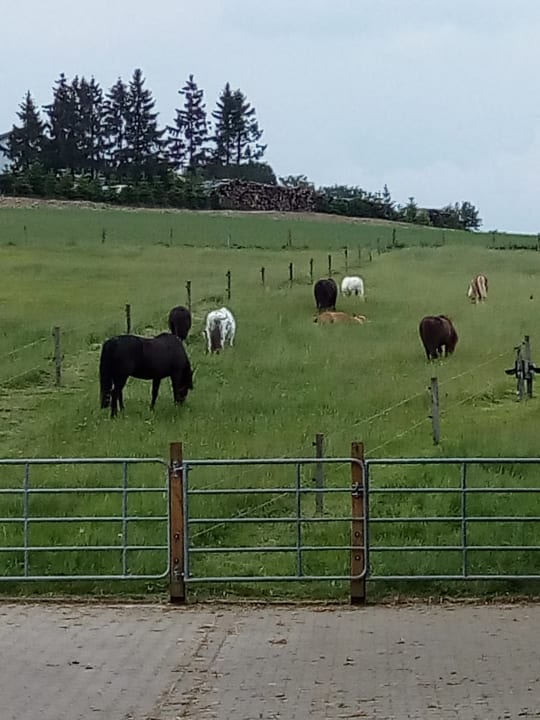 Weide der Ponnys Landhaus Schulte-Göbel ... das Kinderparadies