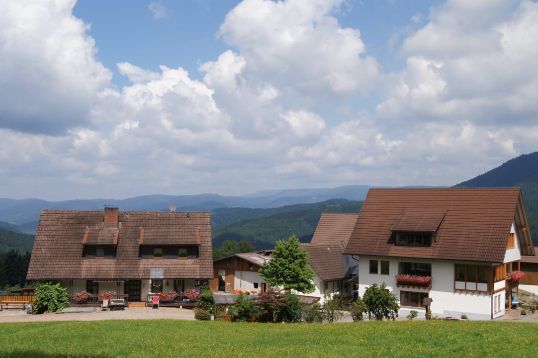 Ansicht des Ferienhofes Löcherhansenhof Ferienwohnungen Löcherhansenhof