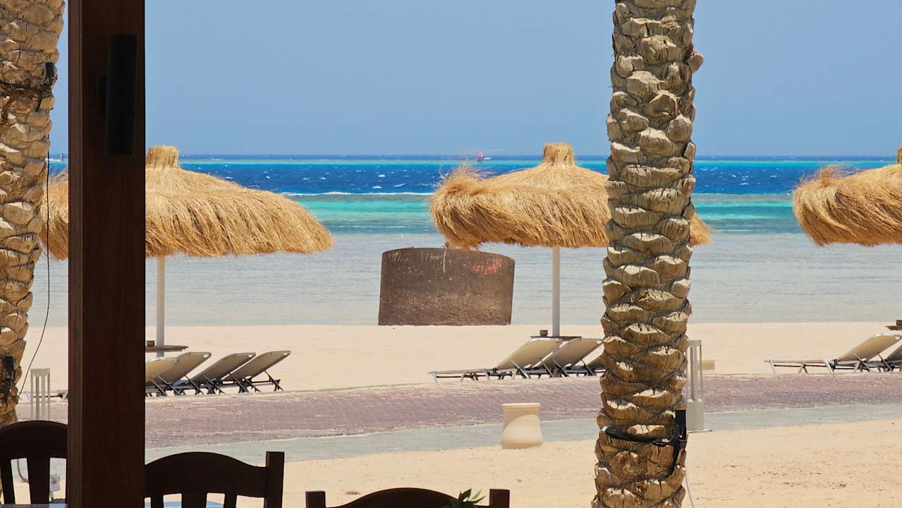 Strand JAZ Elite Asteria