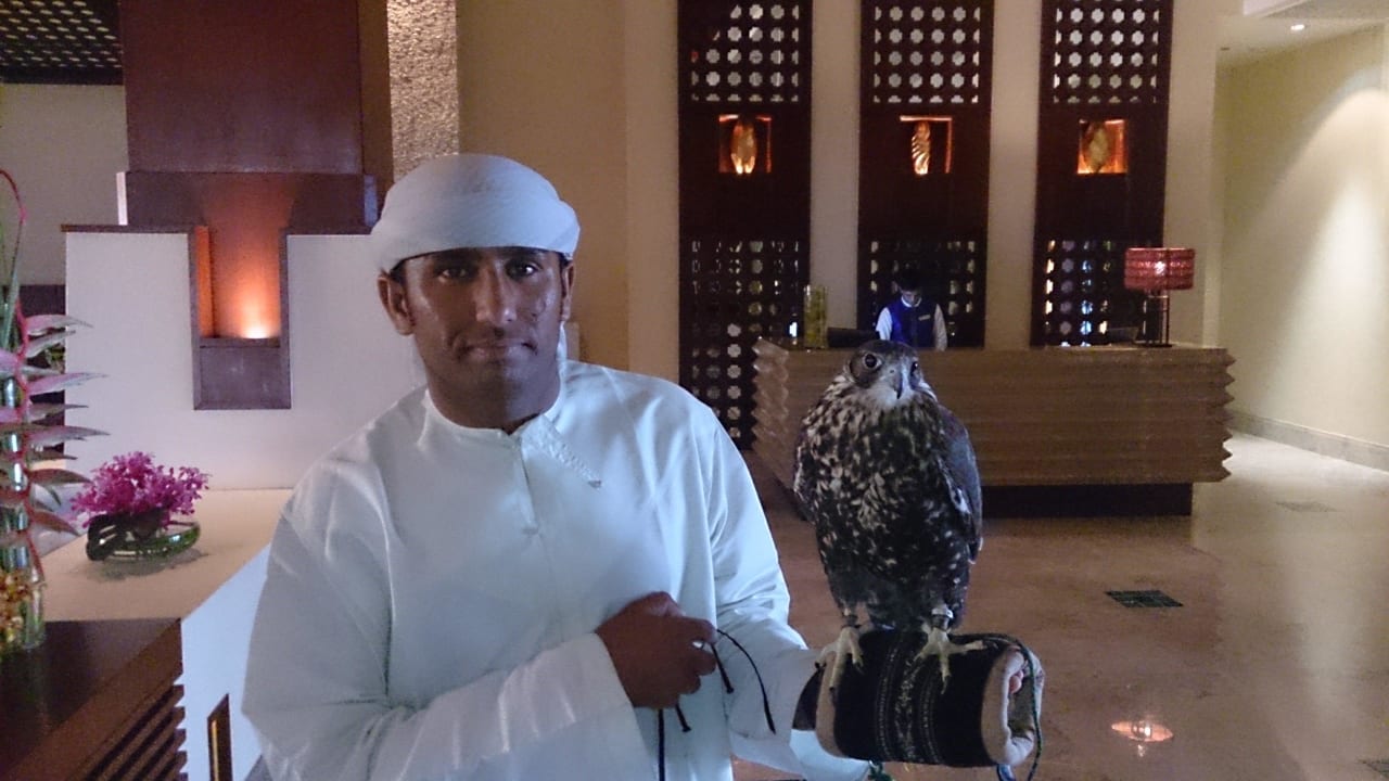 Der Falkenmann mit seinem Falken... Anantara The Palm Dubai Resort