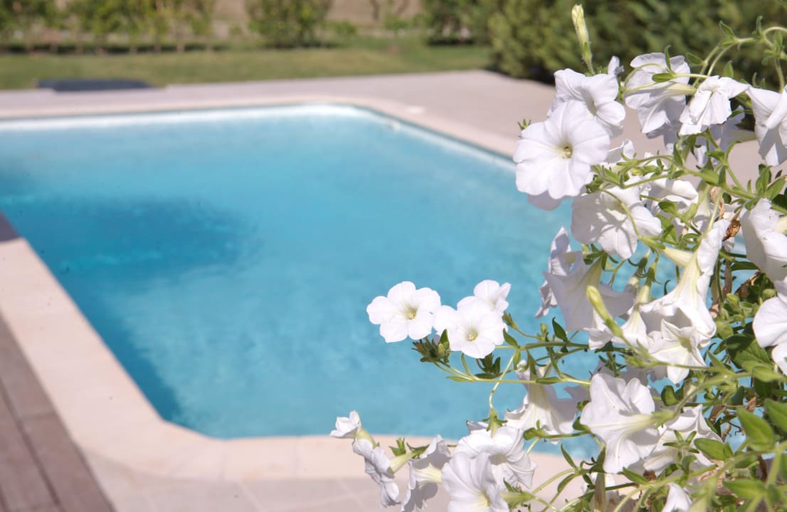 Pool Il Viaggio Verde