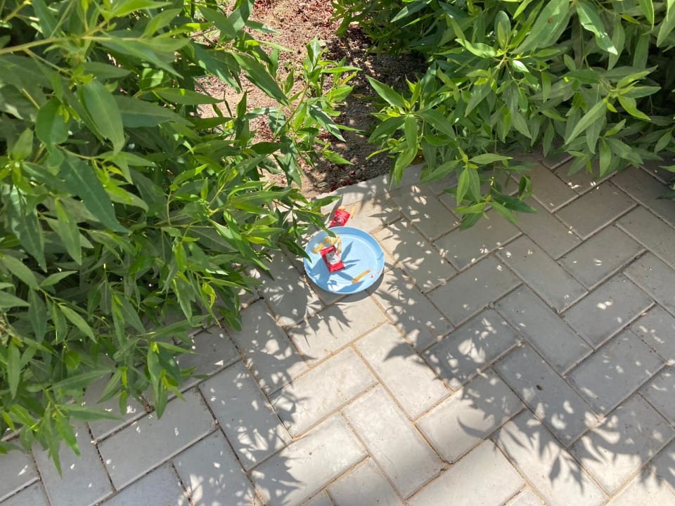 Sonstiges Marina Resort Port Ghalib, a member of Radisson Individuals