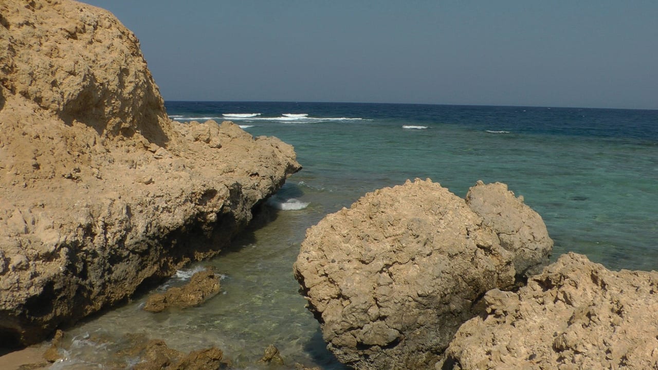 Bild Steigenberger Coraya Beach - Adults only