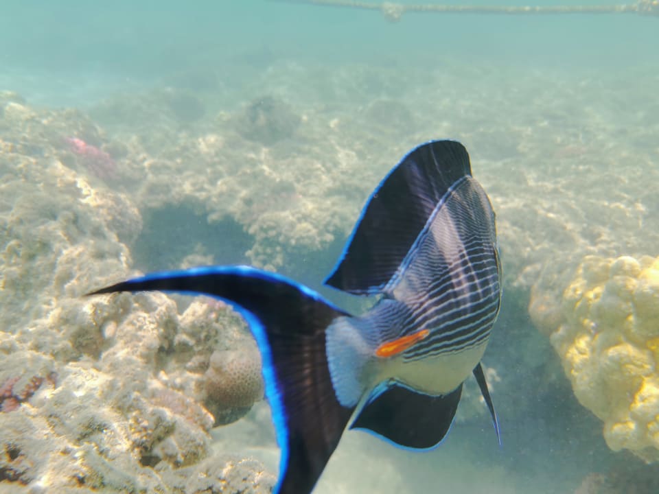 Sport & Freizeit Brayka Bay Resort