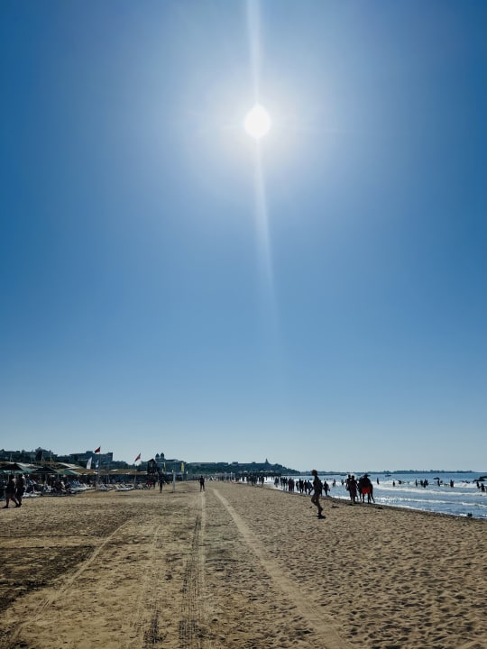 Strand Paloma Oceana