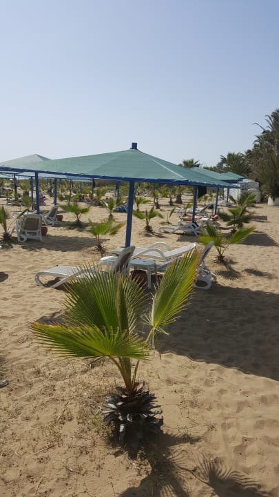 Strand Paloma Oceana
