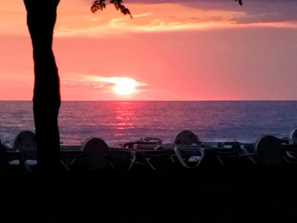 Ausblick Labranda Alantur Resort