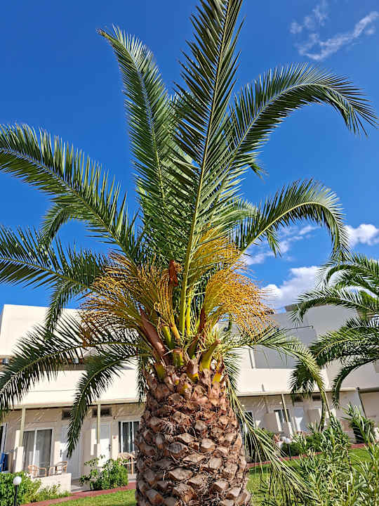 Ausblick HARPIN Georgioupolis Resort Aquapark & SPA