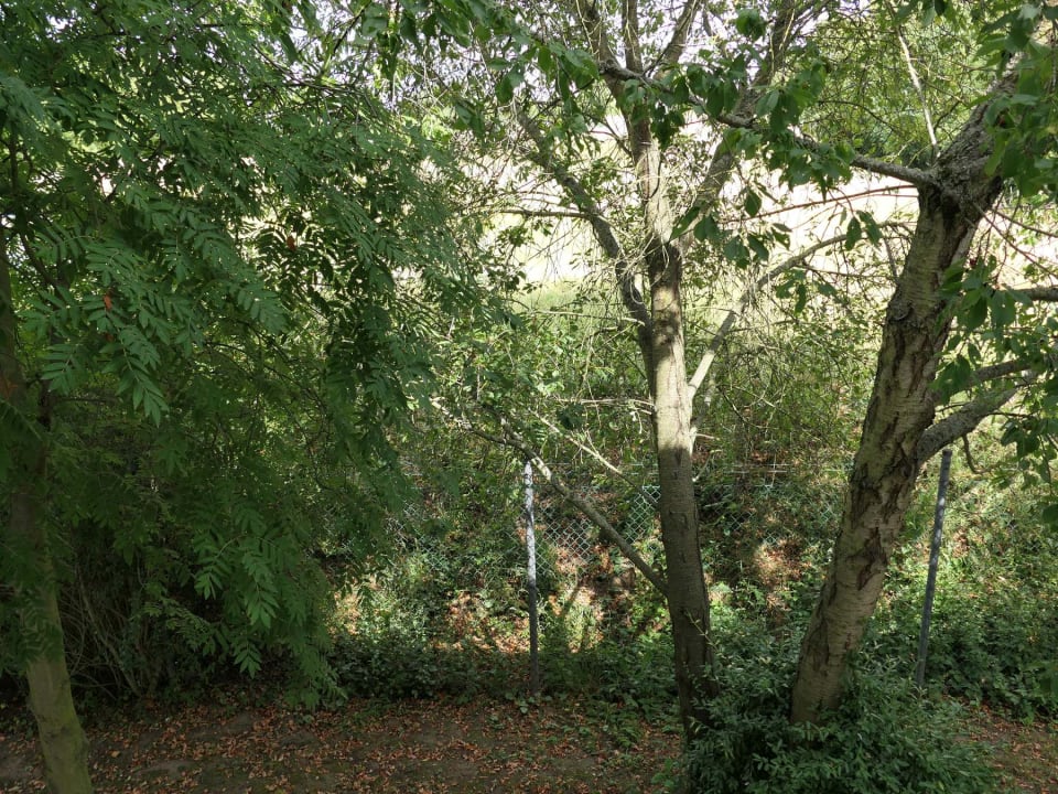 Ausblick Hotel K1 Nohra