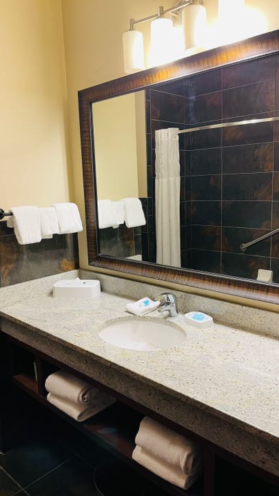 Zimmer Hotel Drury Inn & Suites New Orleans