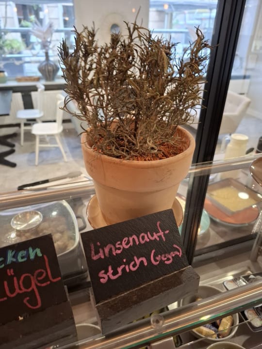 Gastro Garner Hotel Cologne - Engelbertz