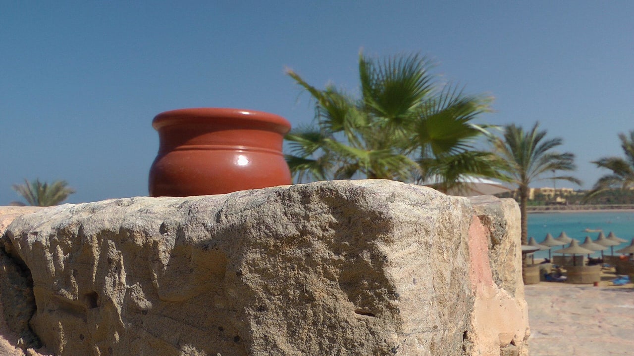 Bild Steigenberger Coraya Beach - Adults only