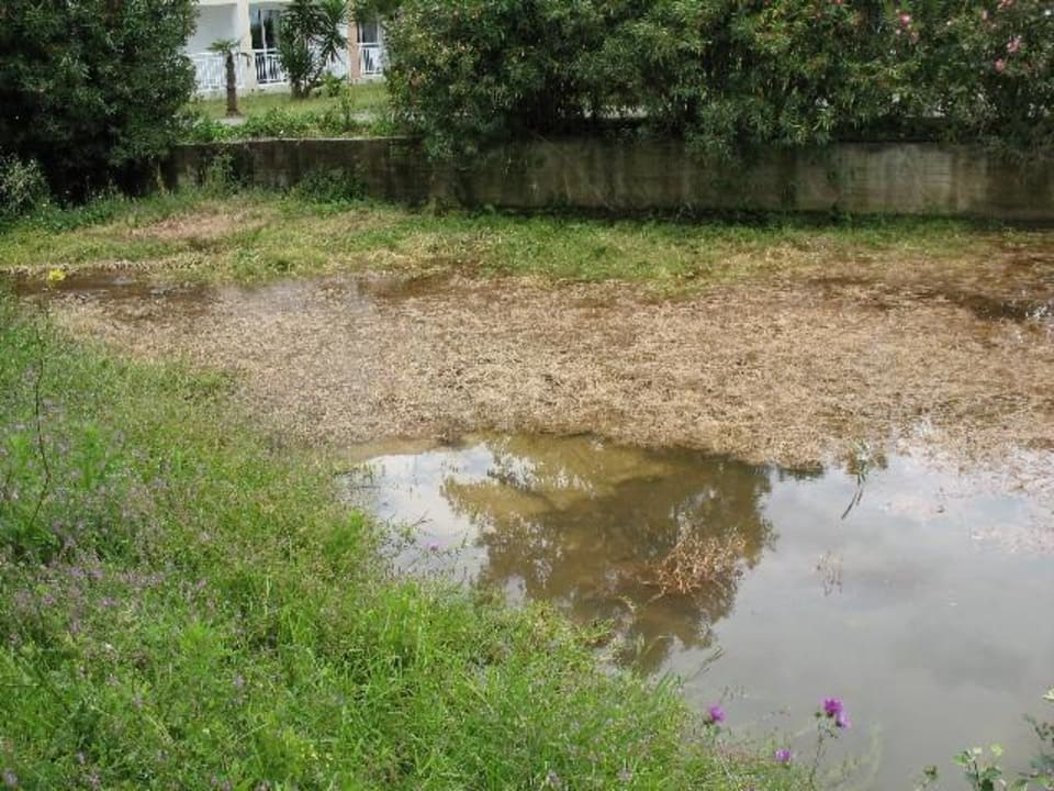 Fluss im Hotel Sandy Beach Resort