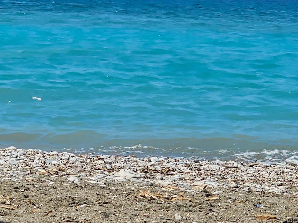 Strand TUI KIDS CLUB Alex Beach