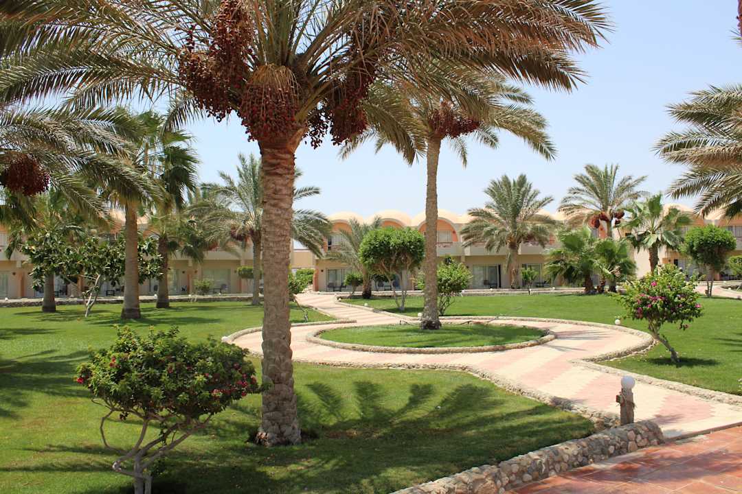 Gartenanlage Three Corners Sea Beach Resort