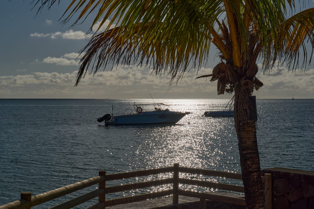 Ausblick Lagoon Attitude - Adults only