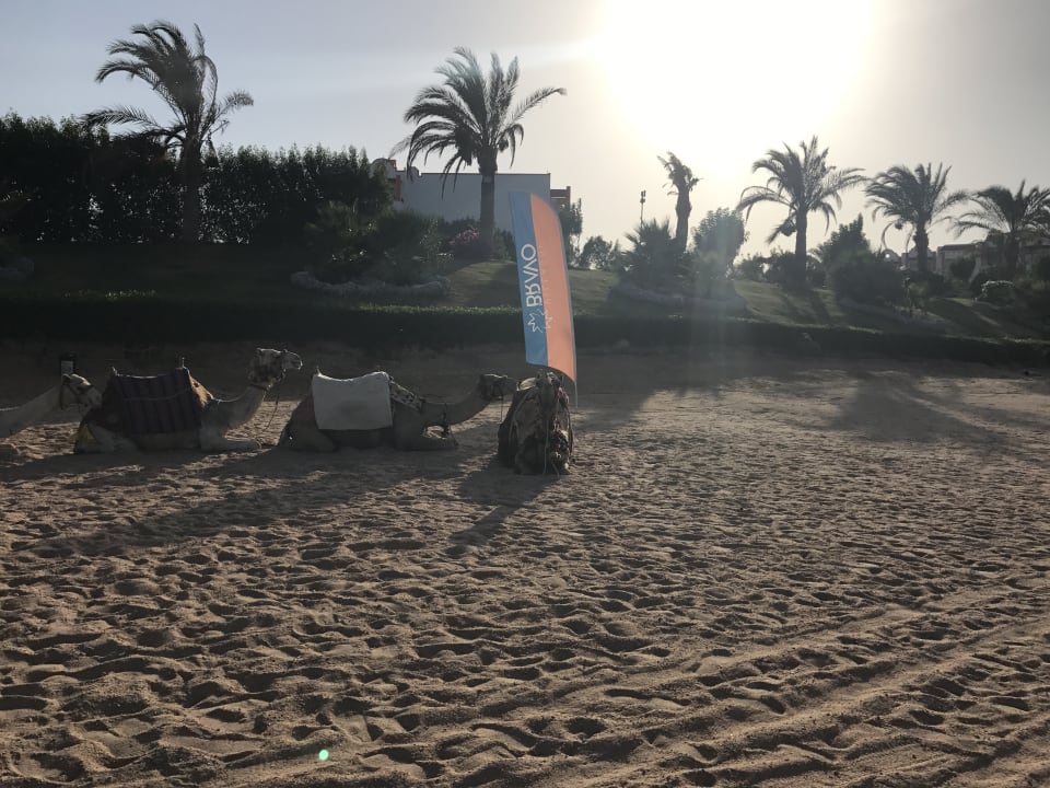 Strand Fantazia Resort Marsa Alam