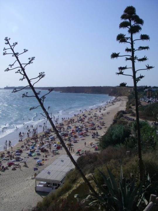 Strand in der Nähe Garbi Costa Luz