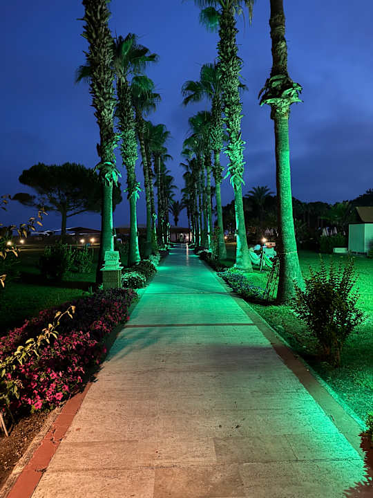 Gartenanlage Green Max Hotel