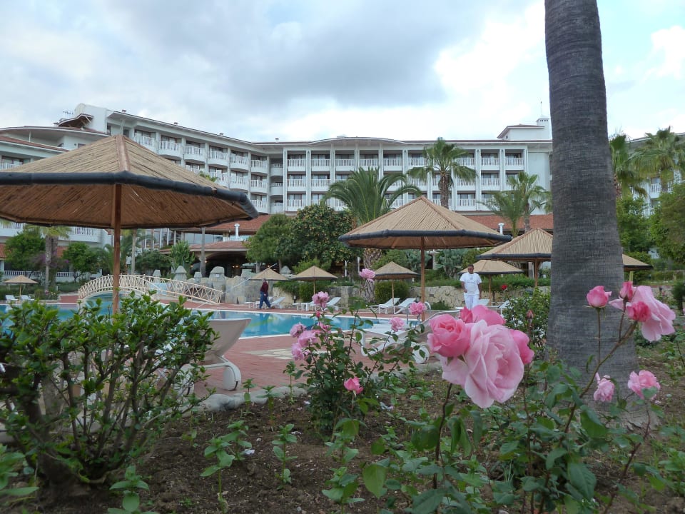 Garten / Pool und Hotel Hotel Defne Garden