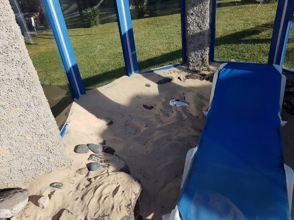 Gartenanlage SBH Fuerteventura Playa