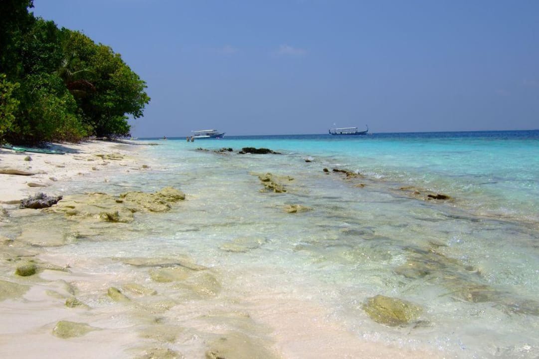 Strand Nordseite Royal Island