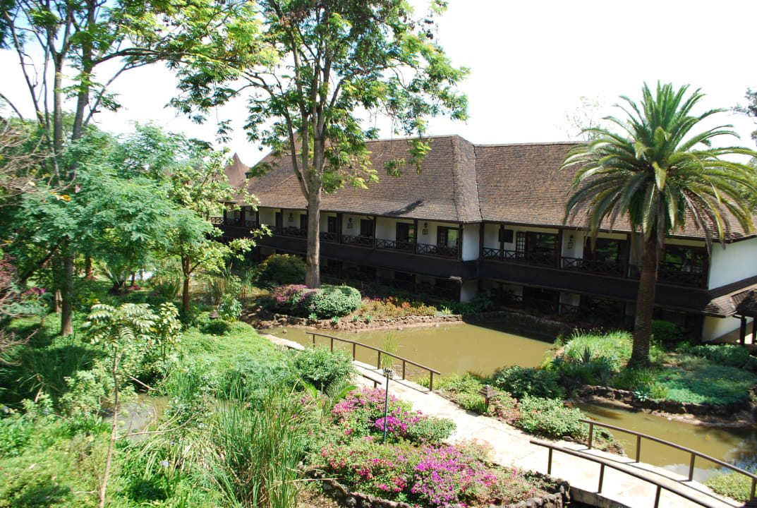 Вид с балкона Hotel Safari Park