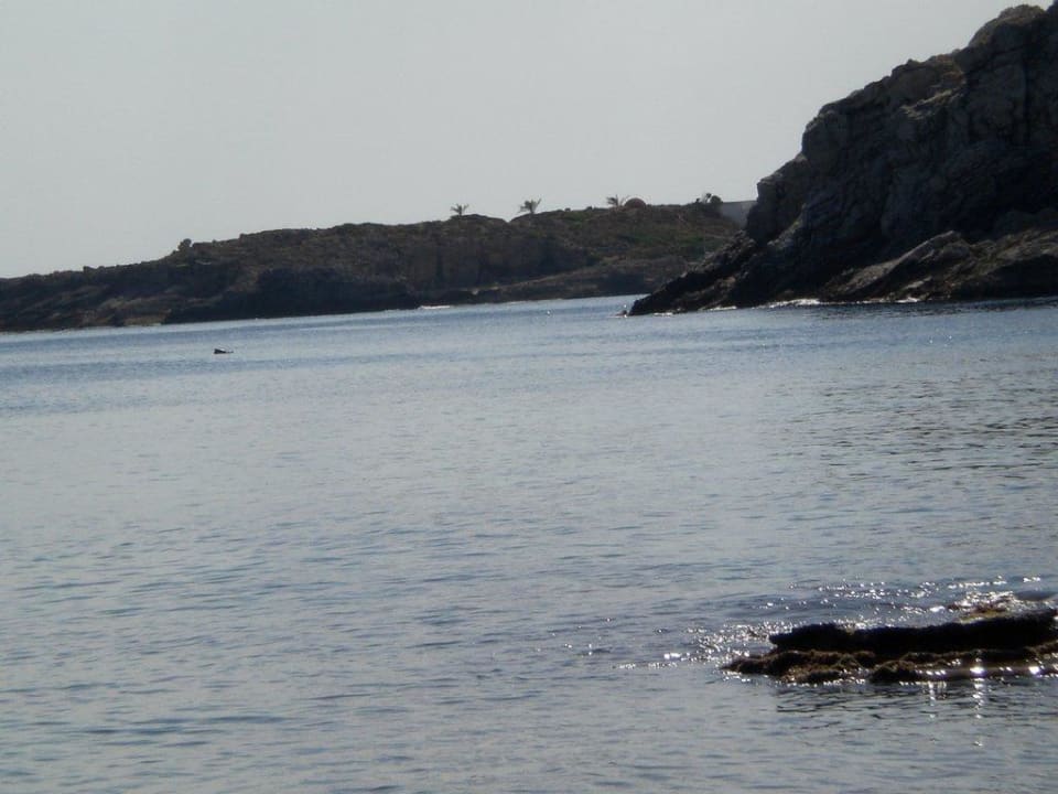 Meer Tagsüber Hotel Kalithea Mare Palace