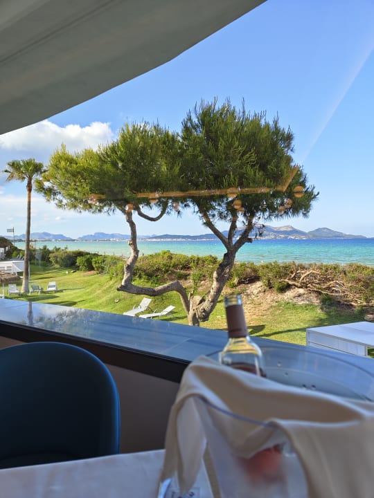 Gastro Playa Esperanza Resort