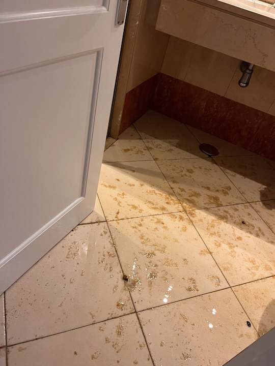 Zimmer allsun App.-Hotel Albatros