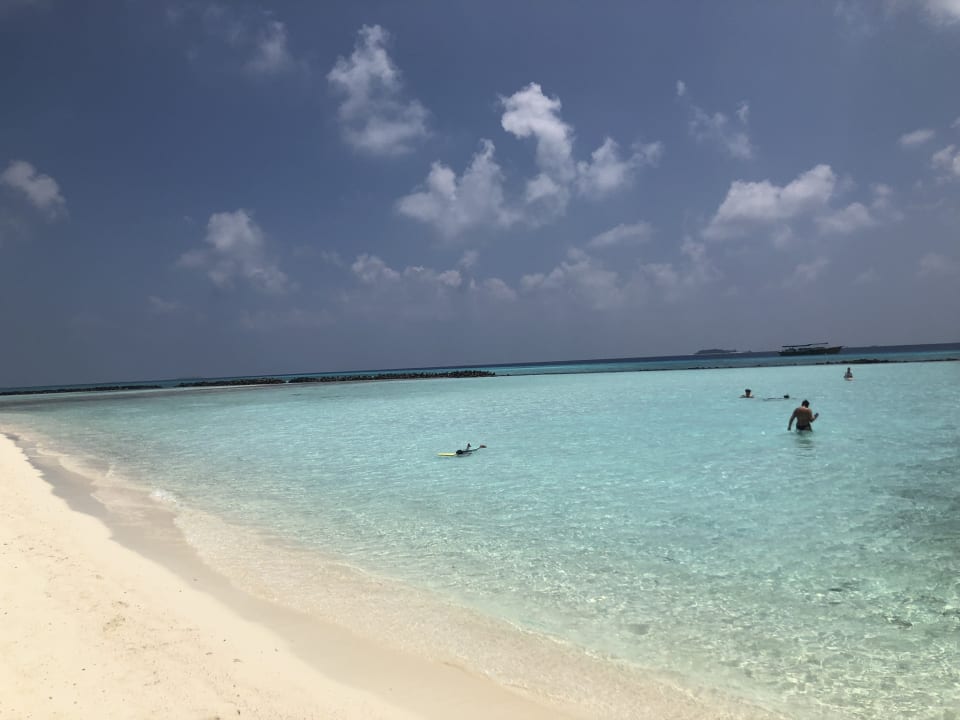 Strand Summer Island Maldives