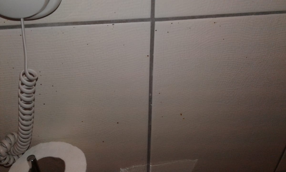 Zimmer Labranda Alantur Resort