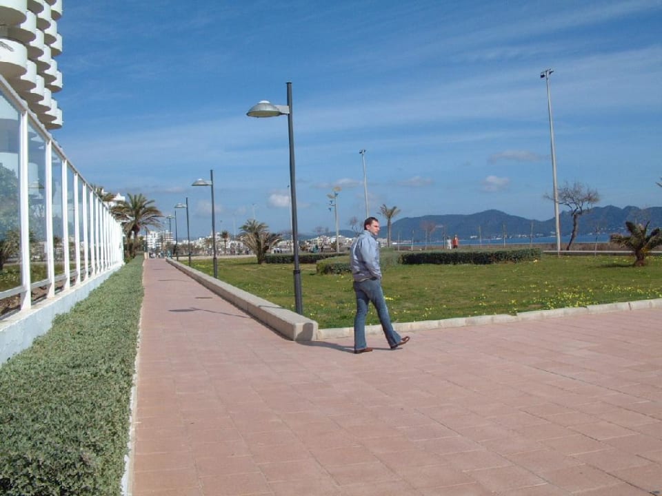 Blick auf die Strandpromenade Hipotels Hipocampo Playa
