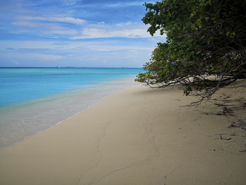 Strand Summer Island Maldives