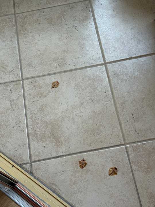 Zimmer Senza Sunset Beach Hotel