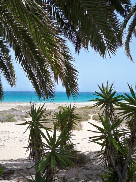 Paradies SBH Hotel Costa Calma Palace