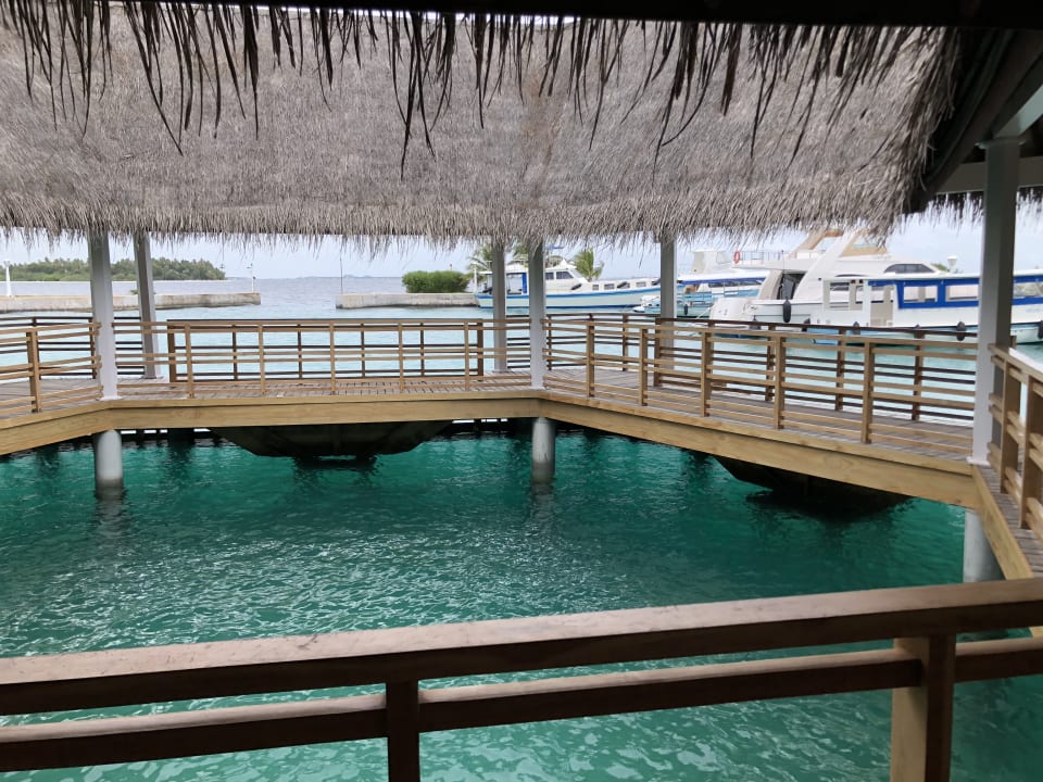 Strand Bandos Maldives