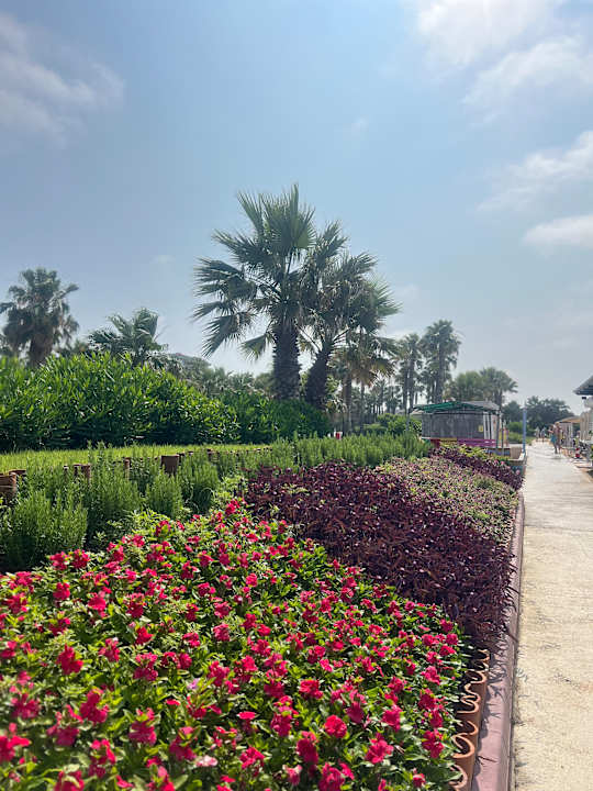 Gartenanlage VONRESORT Golden Beach