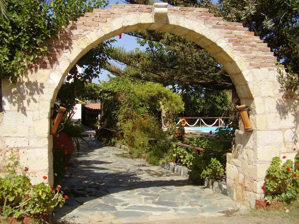 Außenansicht Hotel Summer Lodge