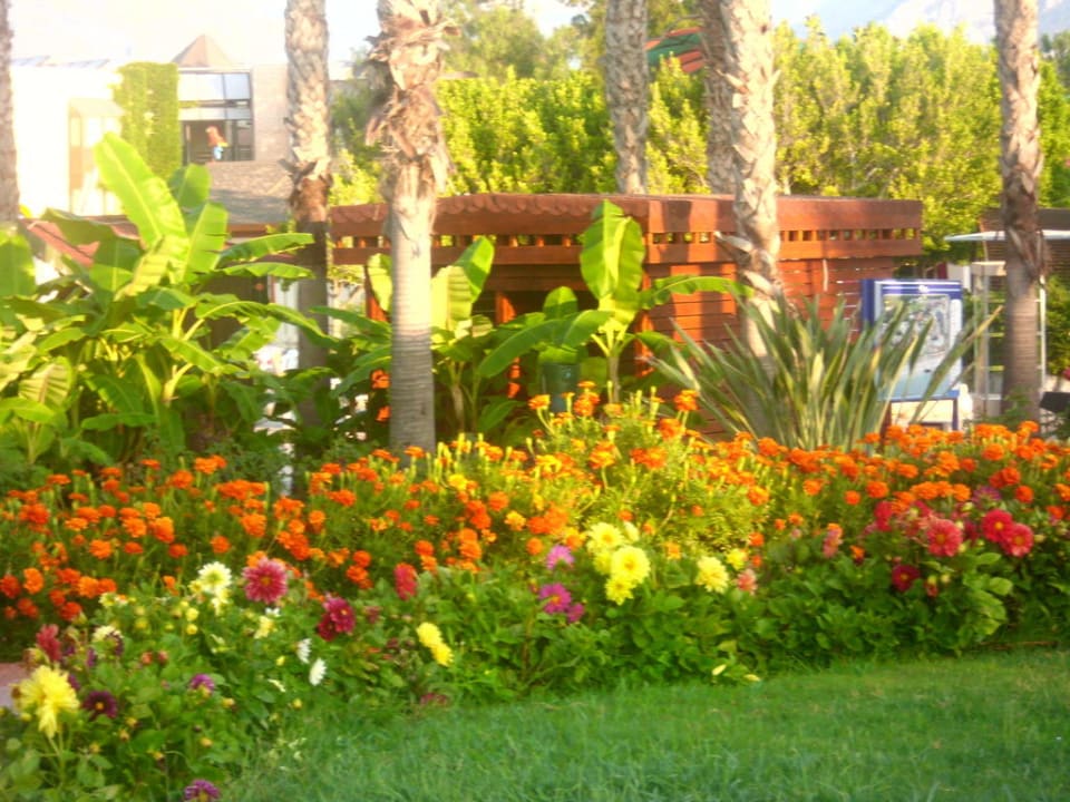 Alles so bunt! Limak Limra Hotel & Resort