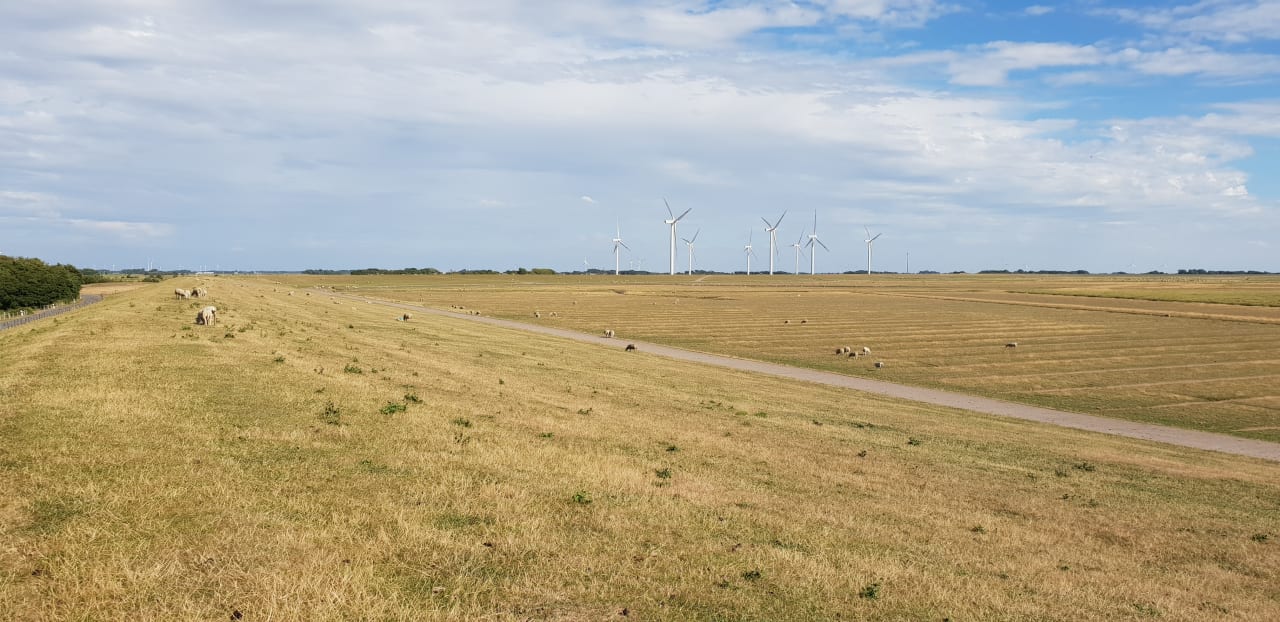 Ausblick Ferienhaus Hemenswarft direkt an der Nordsee mit Meerblick