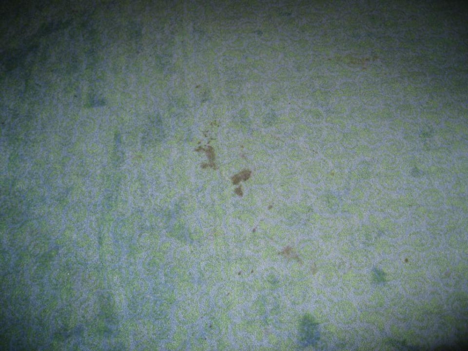 Teppichboden "echt sauber" Van der Valk Landhotel Spornitz