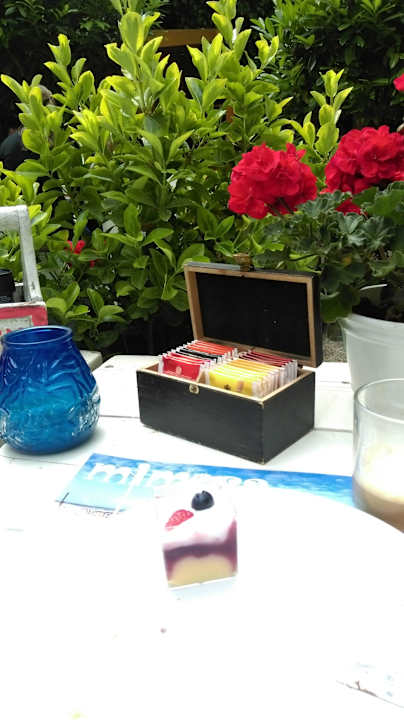 Lecker Frühstück und schöner Aussenbereich Hotel Mimosa Scheveningen